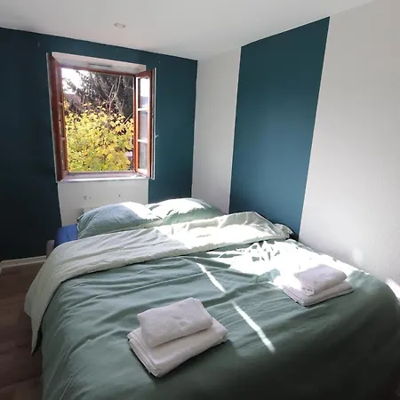 Homday Cultivateur 3